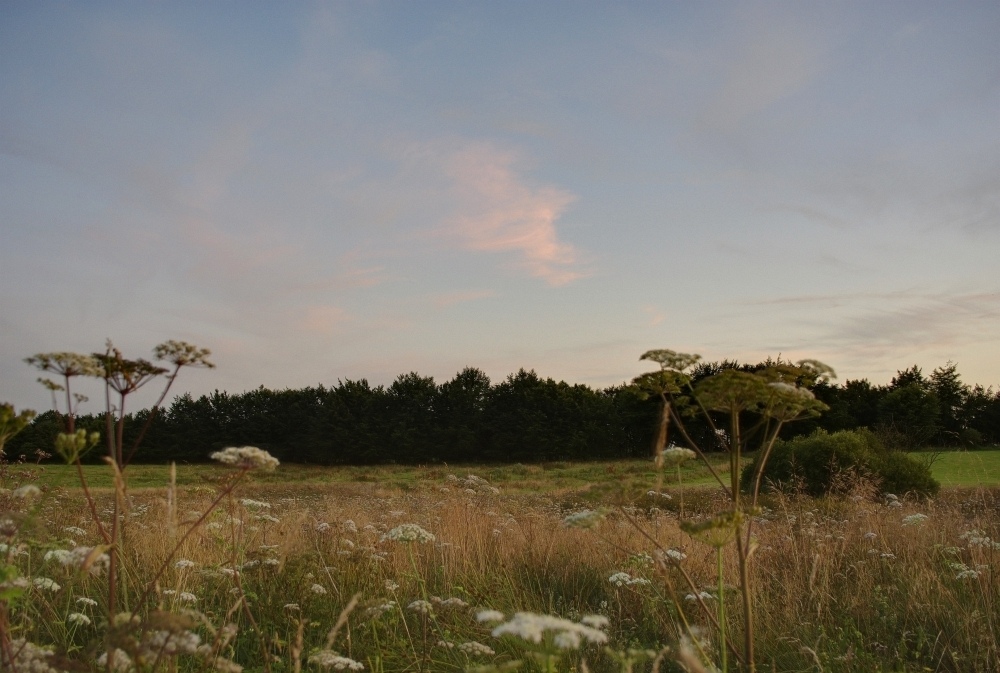 http://www.eifelmomente.de/albums/Nordeifel/Sommer/2009_08_05_Sonnenuntergang_und_Vollmond_am_Hochscheit/2009_08_05_-_22_Sonnenuntergang_und_Vollmond_an_der_Kall_DRI_bearb.jpg