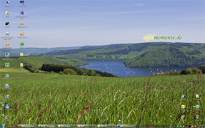 eifelmomente.de Wallpaper Blumenwiese am Rursee