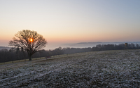 Eisiger Sonnenaufgang bei Huppenbroich im Frühling