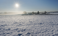 Ein Wintermorgen mit Bodennebel im Eifelvorland