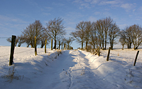 Verschneiter Feldweg bei Steckenborn