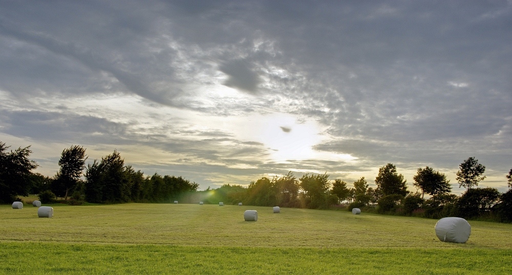 http://www.eifelmomente.de/albums/Nordeifel/Sommer/2009_07_26_Talsperre_Buetgenbach/2009_07_26_-_127_Abendstimmung_bei_Wahlerscheid_DRI_bearb_ausschn.jpg