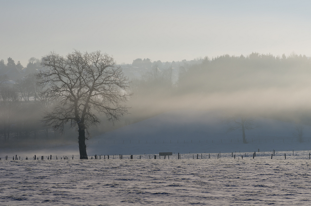 http://www.eifelmomente.de/albums/Nordeifel/Winter/2015-16_Winter/2016_02_16_-_075_Sief_DNG_bearb.jpg