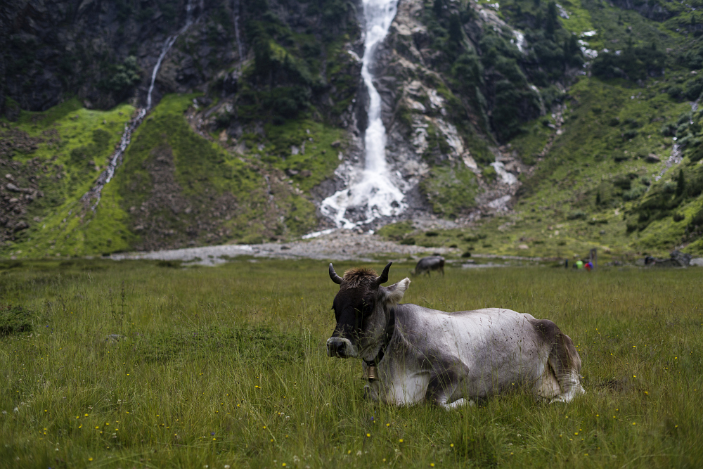 https://www.eifelmomente.de/albums/Urlaub/2018_07_17-26_Alpen/2018_07_22_-_130_Sulzenaualm_DNG_bearb.jpg