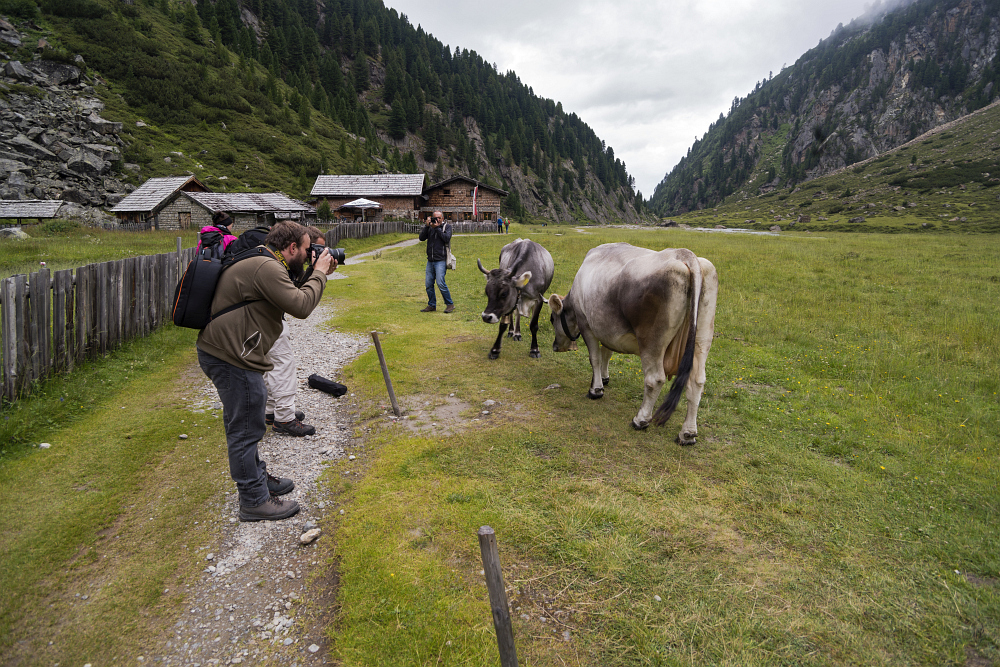 https://www.eifelmomente.de/albums/Urlaub/2018_07_17-26_Alpen/2018_07_22_-_248_Sulzenaualm_DNG_bearb.jpg